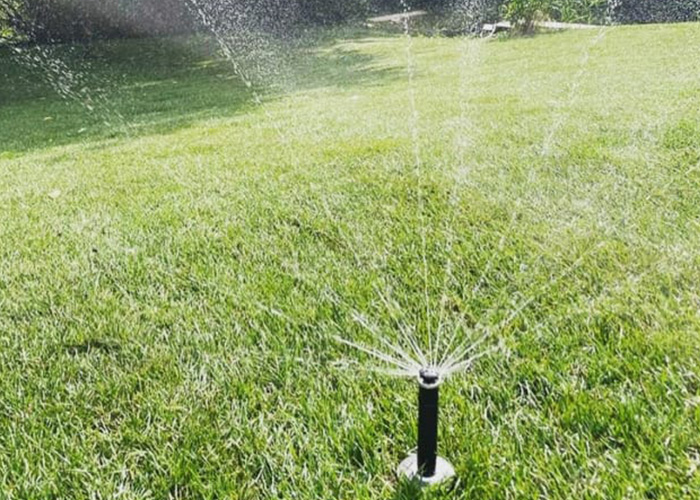Automatische Bewässerungsanlage in einem Garten, präzise bewässerte Rasenflächen und Beete.
