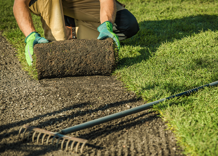 Rollrasen wird im Außenbereich eines Hauses verlegt, um eine sofortige, pflegeleichte Rasenfläche zu schaffen.